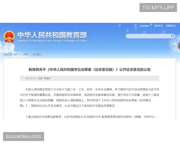 裁判报告必须提交的情形与对判罚纪律的关键影响