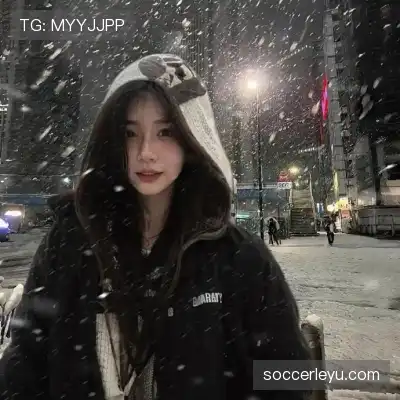 王秦准